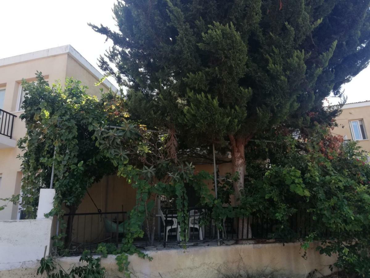 Appartamento Chriselina Gottage Paphos Esterno foto