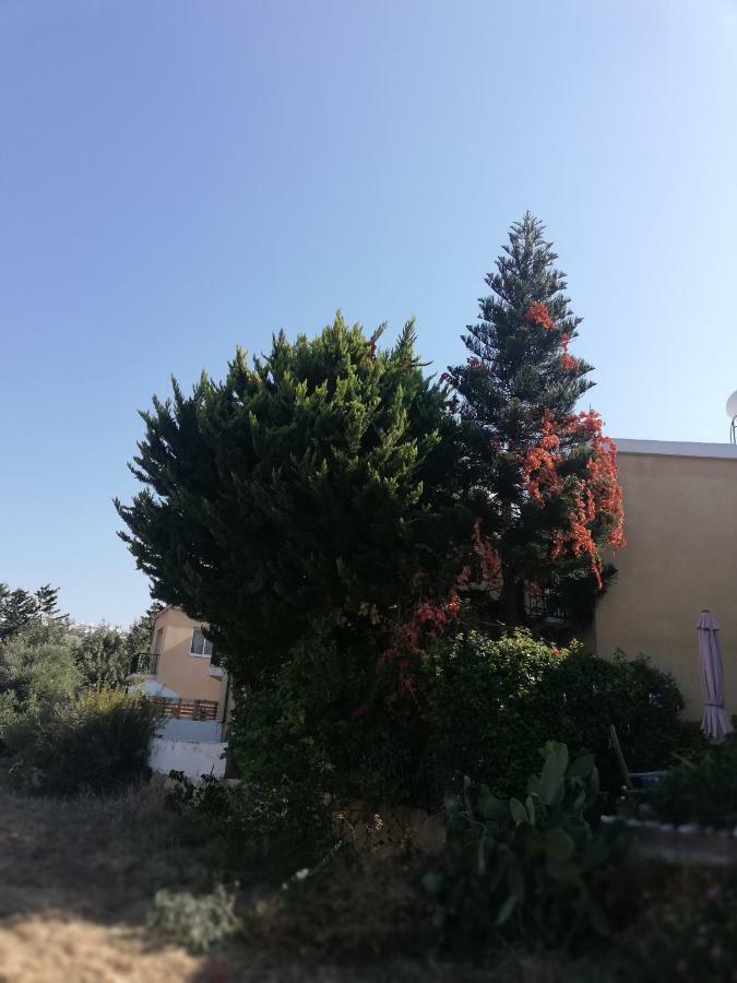 Appartamento Chriselina Gottage Paphos Esterno foto