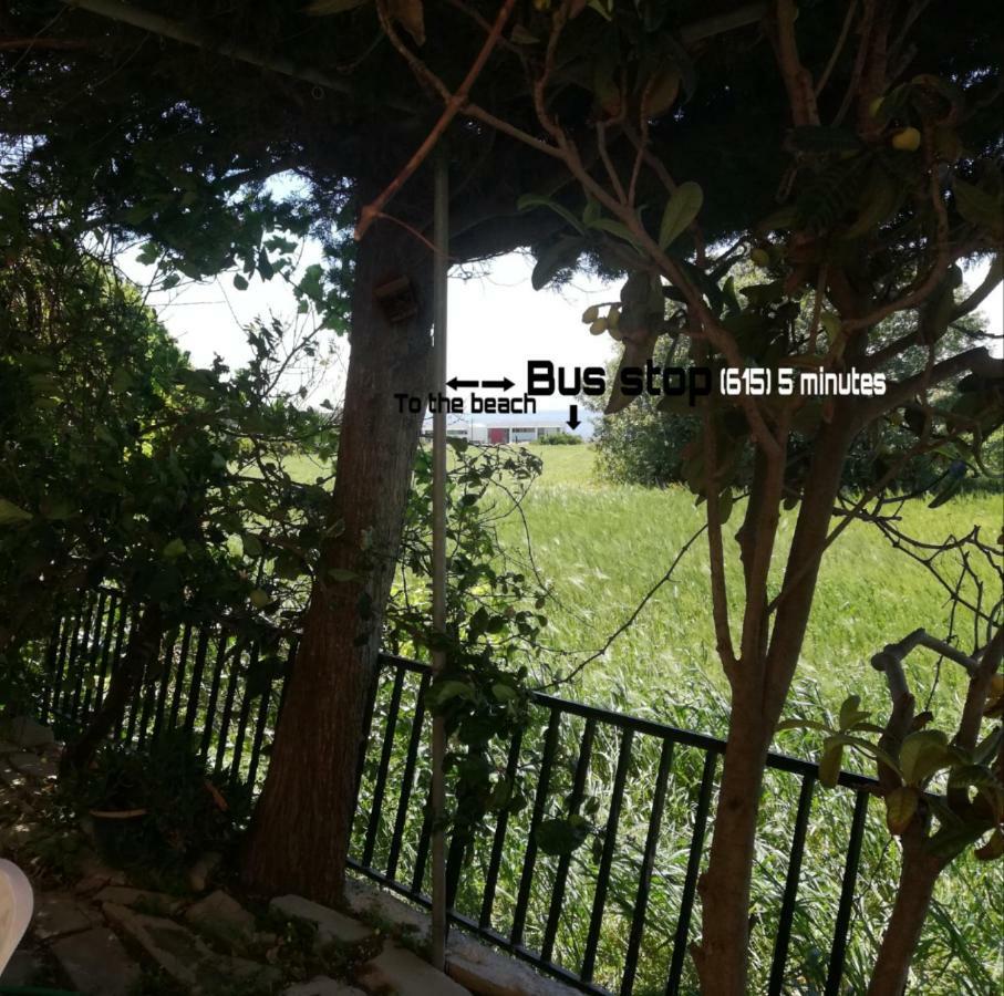 Appartamento Chriselina Gottage Paphos Esterno foto